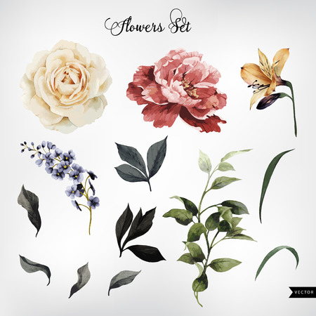 Flowers and leaves, watercolor, can be used as greeting card, invitation card for wedding, birthday and other holiday and summer background. Vector illustration. Flowers and leaves, watercolor, can be used as greeting card, invitation card for wedding, birthday and other holiday and summer background. Vector illustration.