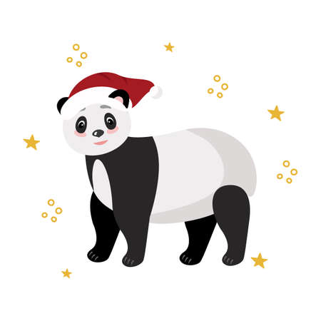 Christmas and New Year's card with a panda in a red riding hood. Vector clipart, isolated illustrationのイラスト素材