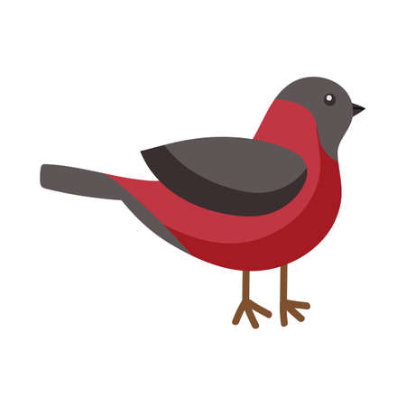Bullfinch, a bird is a symbol of winter. Vector clipart, isolated illustration, for design or decoration.のイラスト素材