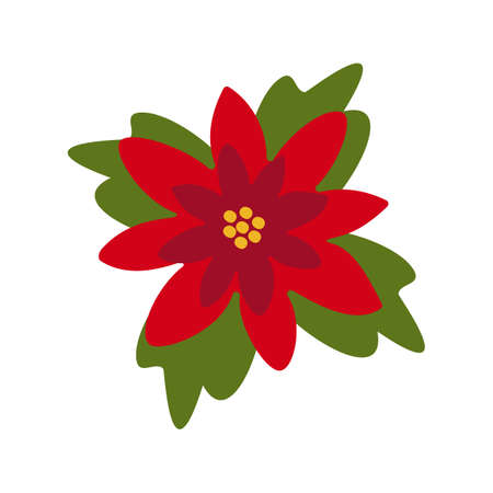 Poinsettia red flower, Christmas star. Vector clipart, isolated illustration on a white background.のイラスト素材