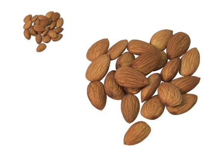 Nuts - almondsの写真素材