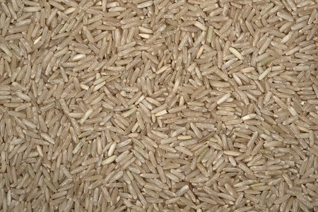 Rice close up an equal layerの写真素材
