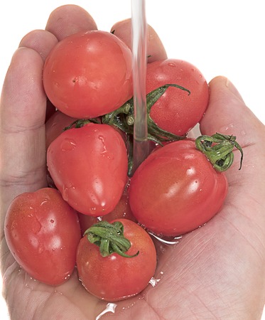 Tomatoes in an arm  on a white backgroundの写真素材