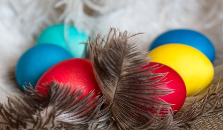 Multi-coloured Easter eggs on desktopの写真素材