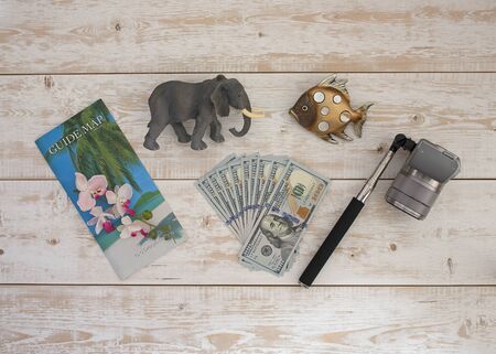 Subjects for a trip to the warm countriesの写真素材