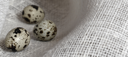 spotted quail eggs on sackingの写真素材