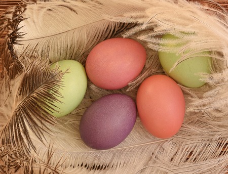 Eggs on pens on a wooden backgroundの写真素材