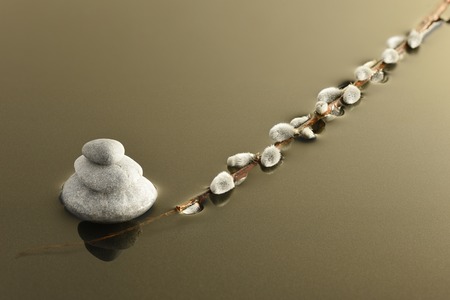 willow branch and a cairn in the waterの写真素材