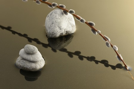 willow branch and a cairn in the waterの写真素材