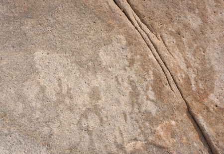 Background of the surface of the stone on the sea shoreの写真素材