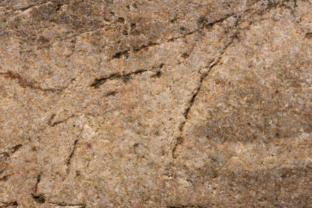 Background of colored sea stones close upの写真素材