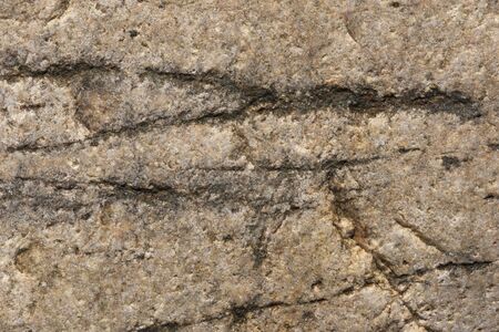 Background of colored sea stones close upの写真素材