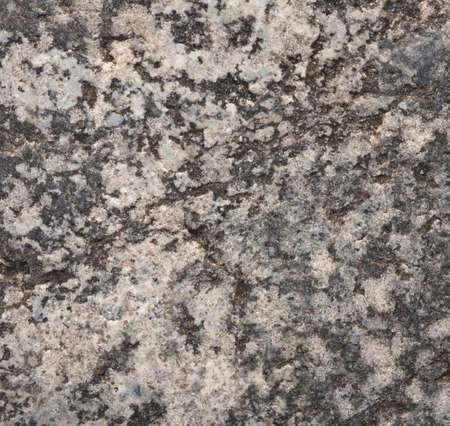 Background of colored sea stones close upの写真素材