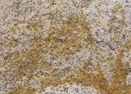 Background of colored sea stones close upの写真素材