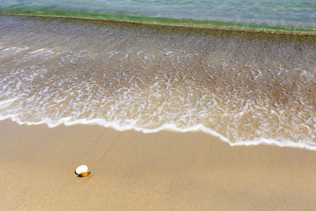 Sea beach on the Pacific Ocean, the summer.の写真素材
