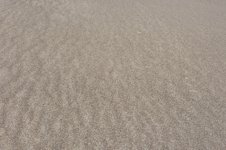 Sand on the Pacific coast in the summerの写真素材