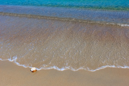 Sea beach on the Pacific Ocean, the summer.の写真素材