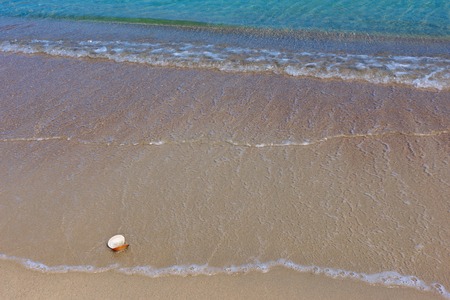 Sea beach on the Pacific Ocean, the summer.の写真素材