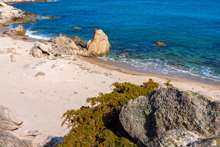 Waves of the Pacific Ocean on the rocksの写真素材