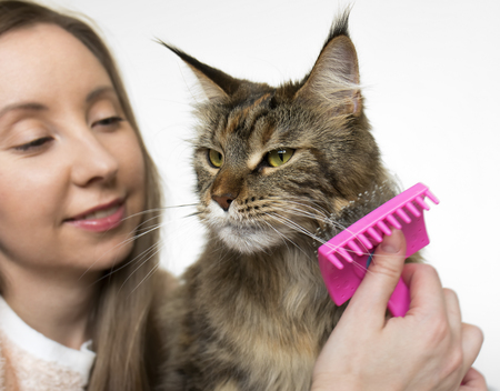 girl and cat close-up on a light background. She takes care of the cat.の写真素材