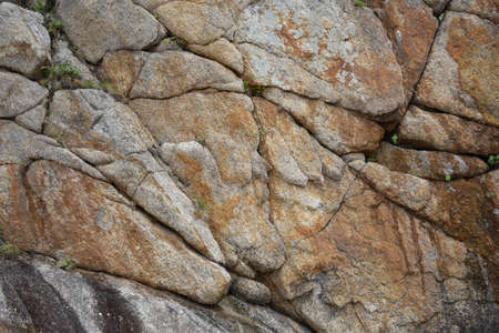 Background of colored sea stones close upの写真素材