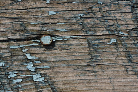 green background from the old boards paintedの写真素材
