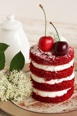 cake sweet dessert for the holiday home. red cakeの写真素材