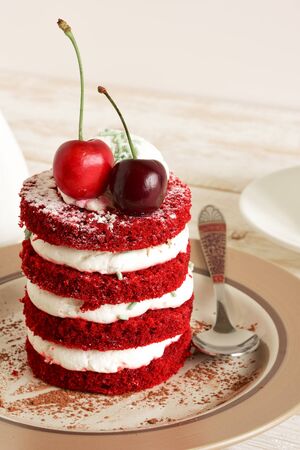 Cake sweet dessert for the holiday. Homemade Cake.の写真素材