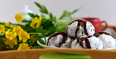 Cookies close-up. Chocolate biscuit cookiesの写真素材