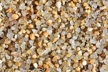 Sea Beach. Ocean.の写真素材