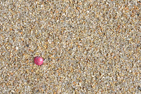 Sea Beach. Ocean.の写真素材