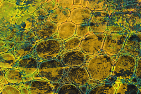 Abstract color background. Illustration of surface textureの写真素材