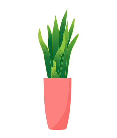 Vase with plants on white background.  illustrationの写真素材