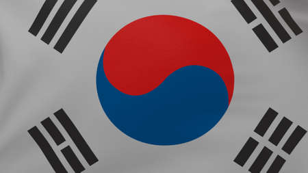 south korea flag texture