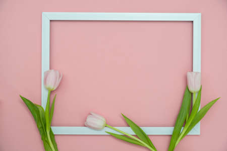 White tulips with blank picture frame on light pink background. Holiday postcard for Women's Day or Mother's Day or Sale concept. Floral spring background with copy spaceの写真素材