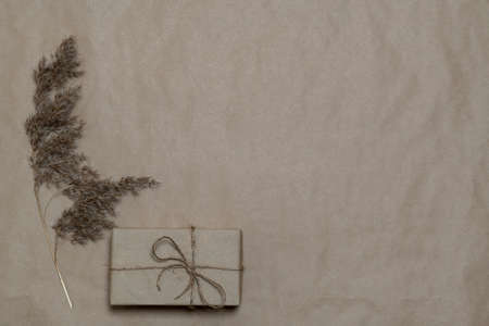 Soft pastel craft paper gift box with eucalyptus branches on white background