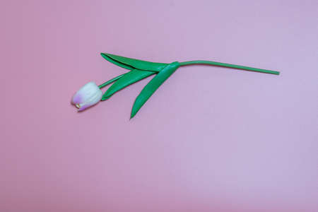 Artificial tulips on a pink background with pastel concept.