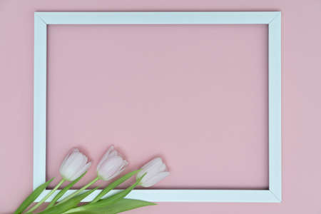 White tulips with blank picture frame on light pink background. Holiday postcard for Women's Day or...