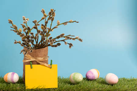 Easter eggs on the grass. willow branches on a blue background. ... high quality