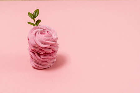 one pink marshmallow on a pink background. place for text. pink marshmallow