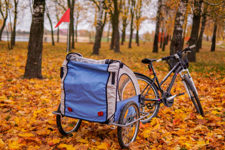 Bicycle with childrens bike trailer in the autumn