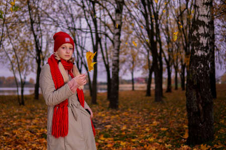 teenage girl in a red hat and scarf in an autumn park.の写真素材