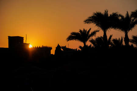 dark silhouette of the building and palm trees on the background sunset.の写真素材