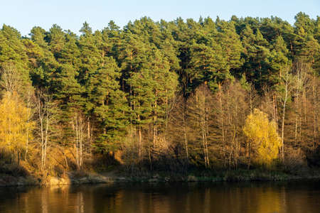 autumn landscape river and forest in the sun.の写真素材
