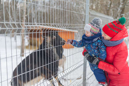 little boy and mom feed the baby goat in the zoo.の写真素材