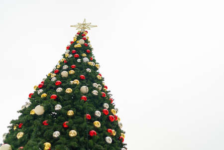 girl in red jacket and hat something near a large Christmas treeの写真素材