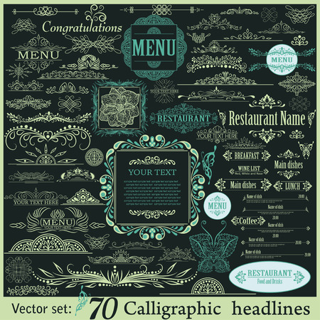 Vector set of calligraphic vintage design elementsのイラスト素材