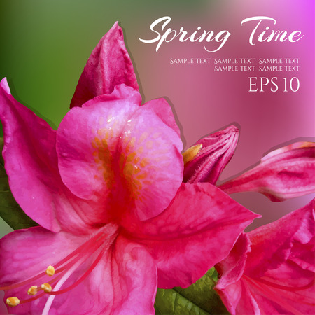 Take a flower on floral background. Vector illustrationのイラスト素材