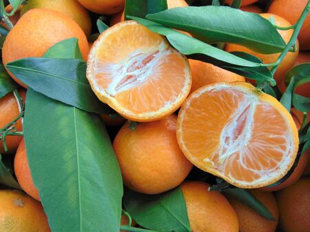 Cut tangerine clementine with green leaves on a background of fresh tangerines for sale at the market. Citrus fruits, ripe sicilian mandarins at the farmers Italian market. Background, close-up.の写真素材