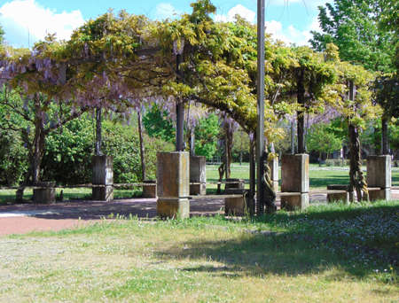 Montelupo Fiorentino, Tuscany, Italy, April 27th, 2019. Beautiful green Ambrogiana Park-Parco dell'Ambrogiana in spring,のeditorial素材